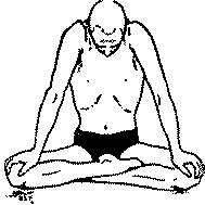 Древние тантрические техники йоги и крийи. Продвинутый курс image045.png