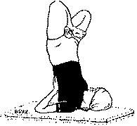 Древние тантрические техники йоги и крийи. Продвинутый курс image052.png
