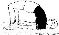 Древние тантрические техники йоги и крийи. Продвинутый курс image055.png