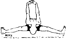 Древние тантрические техники йоги и крийи. Продвинутый курс image005.png
