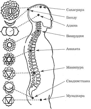 Древние тантрические техники йоги и крийи. Продвинутый курс image064.png