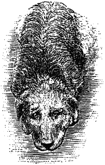 Дрессировка полицейских собак i_018.png