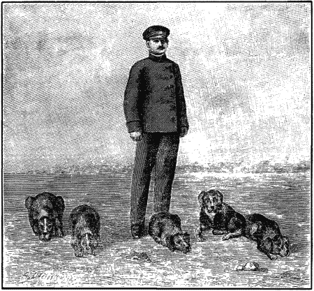 Дрессировка полицейских собак i_019.png