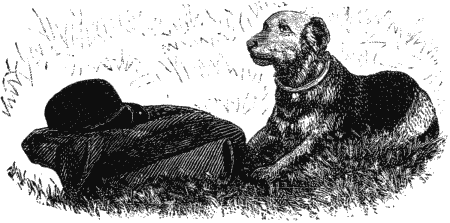 Дрессировка полицейских собак i_024.png