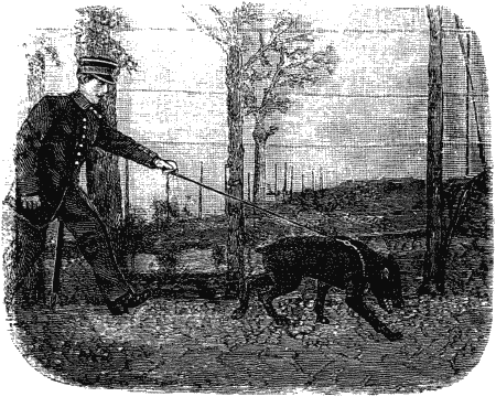 Дрессировка полицейских собак i_033.png