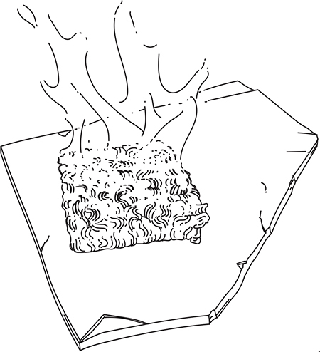 Survival Hacks. Over 200 Ways to Use Everyday Items for Wilderness Survival _37.jpg
