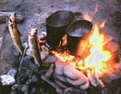 Журнал «Вокруг Света» №5 за 1999 год _3347.jpg