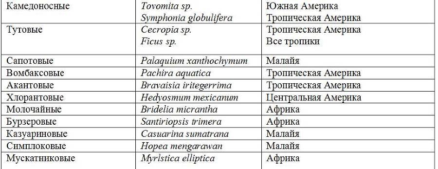 Причудливые деревья _55.jpg