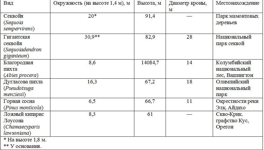 Причудливые деревья _353.jpg