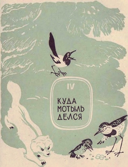 Горицвет img_11.jpg