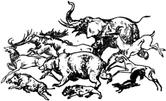 Племянник чародея (илл.) pic22.jpg