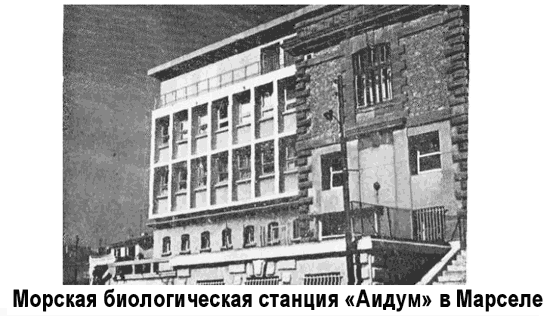 Последняя экспедиция «Витязя» i_004.png