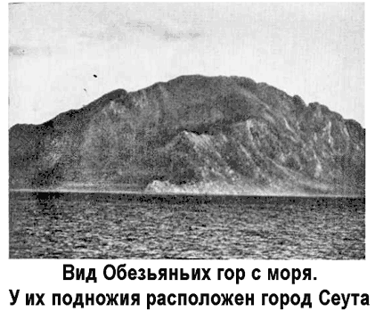 Последняя экспедиция «Витязя» i_009.png