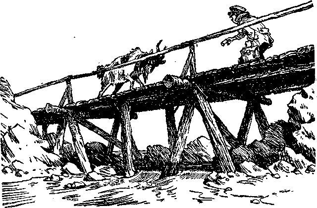 Красные меченосцы (сборник) i_032.jpg