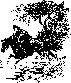 Красные меченосцы (сборник) i_003.jpg