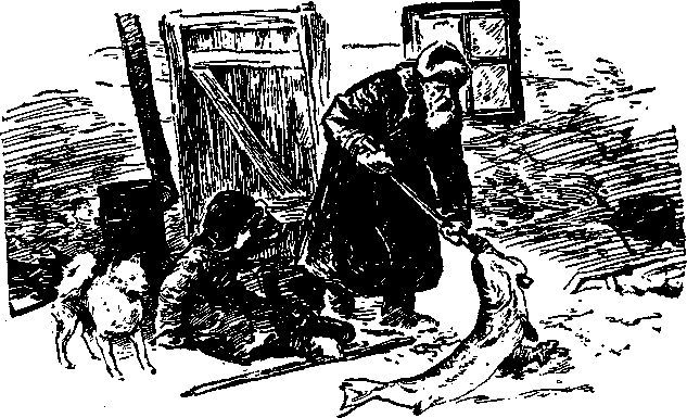 Красные меченосцы (сборник) i_006.jpg