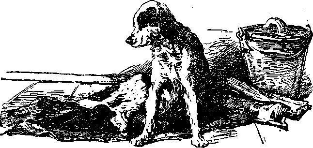 Красные меченосцы (сборник) i_010.jpg