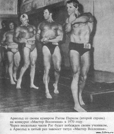 Арнольд _10.jpg