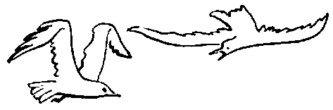 Гном из Забытой страны pic_6.png