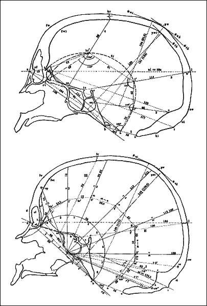 Русская расовая теория до 1917 года. Том 2 i_076.png