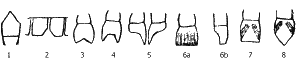 Русская расовая теория до 1917 года. Том 2 i_060.png