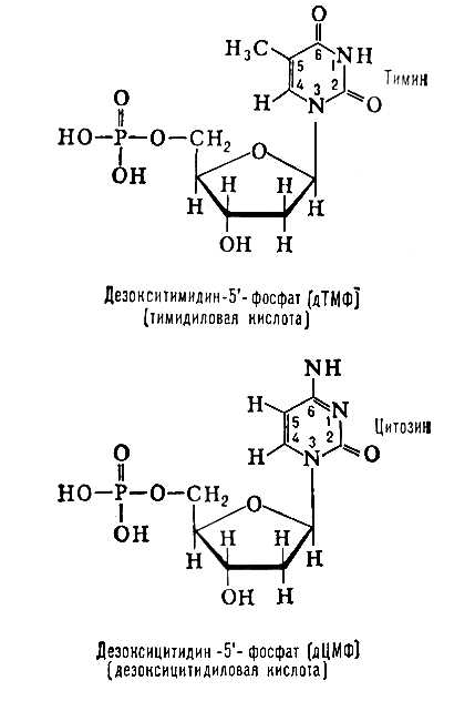 Большая Советская Энциклопедия (НУ) i009-001-235658839.jpg