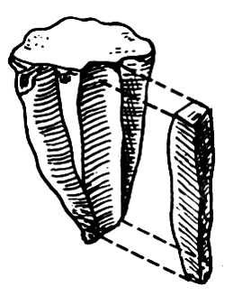 Большая Советская Энциклопедия (НУ) i009-001-210436377.jpg