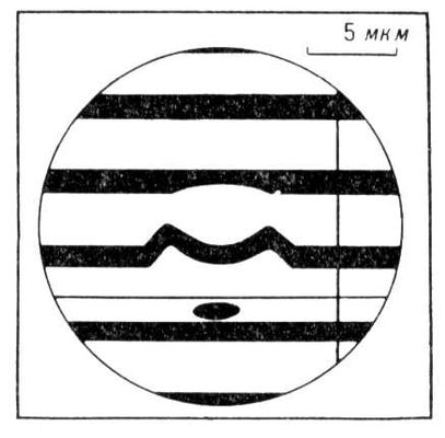 Большая Советская Энциклопедия (МИ) i009-001-238249420.jpg