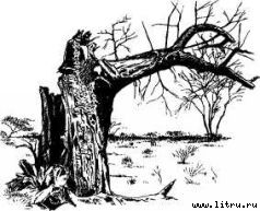 Там, где бродили львы i_022.jpg