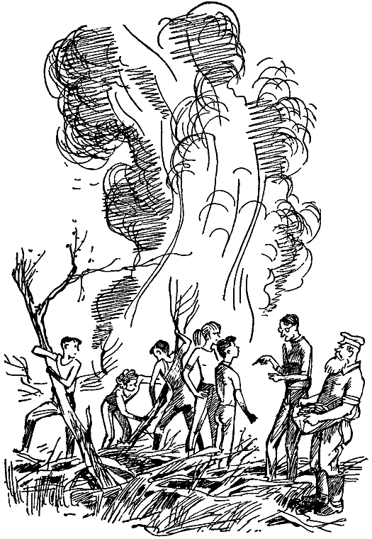 Тайна старого Радуля (с илл.) i_011.png