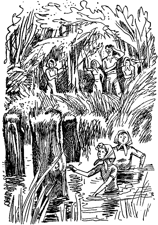 Тайна старого Радуля (с илл.) i_013.png