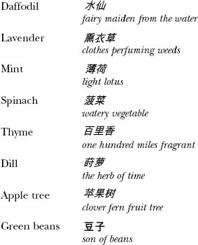 A Concise Chinese English Dictionary for Lovers pic_27.jpg