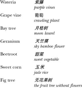 A Concise Chinese English Dictionary for Lovers pic_28.jpg