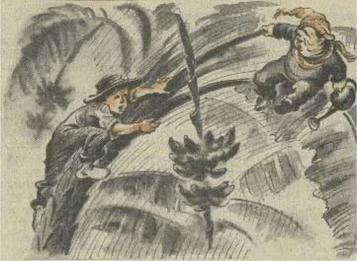 Записки звездочёта Сириуса (с илл.) i_003.jpg