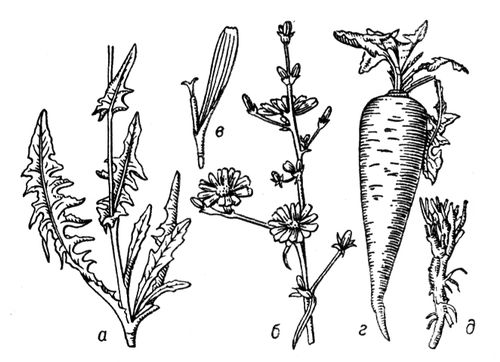 Большая Советская Энциклопедия (ЦИ) i010-001-280144687.jpg