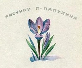 Снежное чудо img_10.jpg