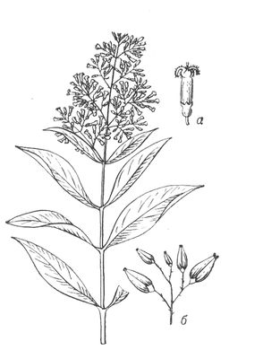 Большая Советская Энциклопедия (ХИ) i010-001-258122356.jpg
