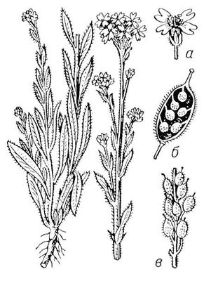 Большая Советская Энциклопедия (ИК) i009-001-205604370.jpg