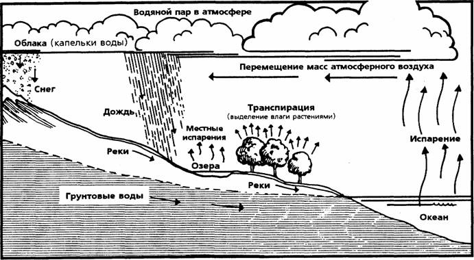 Библейские основы современной науки pic_19.jpg