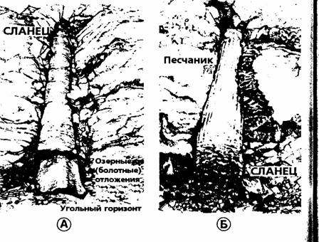 Библейские основы современной науки pic_27.jpg
