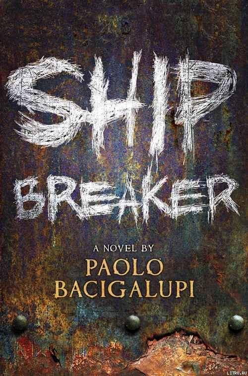 Ship Breaker pic_1.jpg