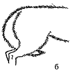 Пойми друга. Справочник по поведению собак any2fbimgloader10.png