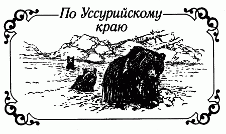 Встречи с животными img_2.png