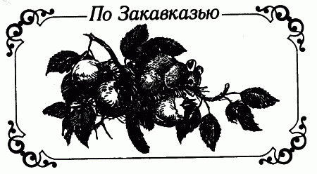 Встречи с животными img_29.png