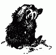 Встречи с животными img_7.png