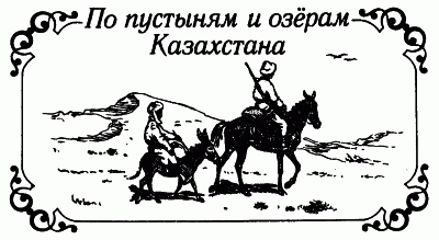 Встречи с животными img_71.png