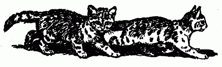 Встречи с животными img_85.png
