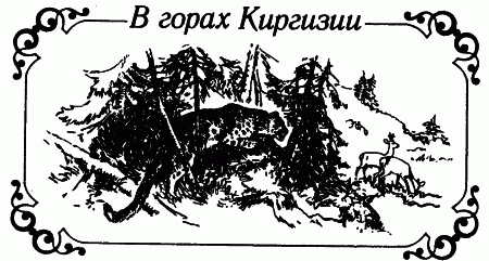 Встречи с животными img_100.png