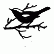 Встречи с животными img_132.png