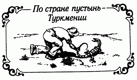 Встречи с животными img_133.png